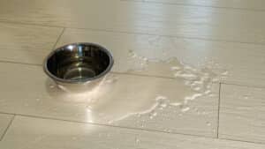 residential flooring